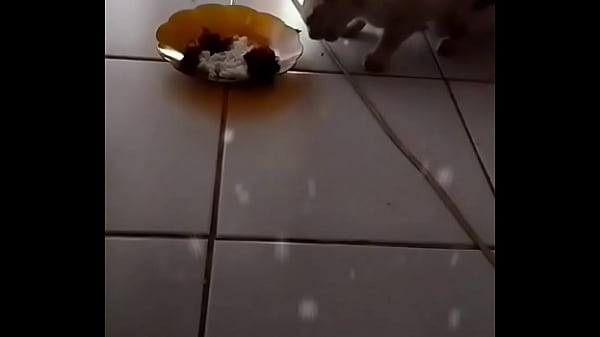 Anita, Si Sapi Panggilan Yang Bikin Otak Lo Ngebul.