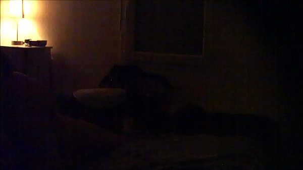 Gadis Arab Montok Gendut Tergila-gila Sama Kontol Gue, Naikkinnya Bikin Nafsu, Panasnya Nggak Ada Obat.