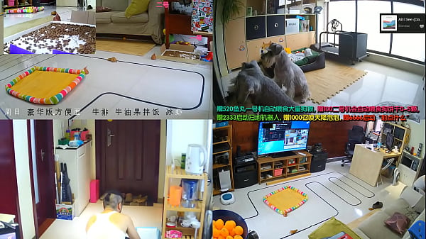 Cewek Cina Live Colongan, Goyang-goyang Bikin Makin Panas