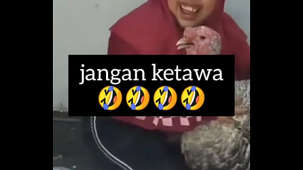 Gadis Gendut Ngeces Sambil Ngeloyor Nafsu.